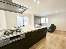 ３口ガスコンロ・無水両面焼グリル付・食洗器・キッチンコンセントあり。引出しを滑らかに引き込む機構と奥行きいっぱいまで引き出せるフルエクステンション構造を採用した高品位仕様。