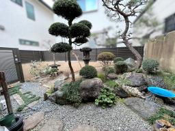 裏庭