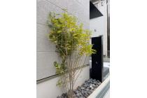 現地（2025年5月）撮影　