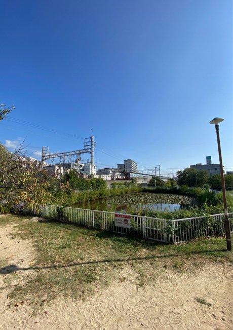 森公園の森池　（物件から徒歩5分400m）