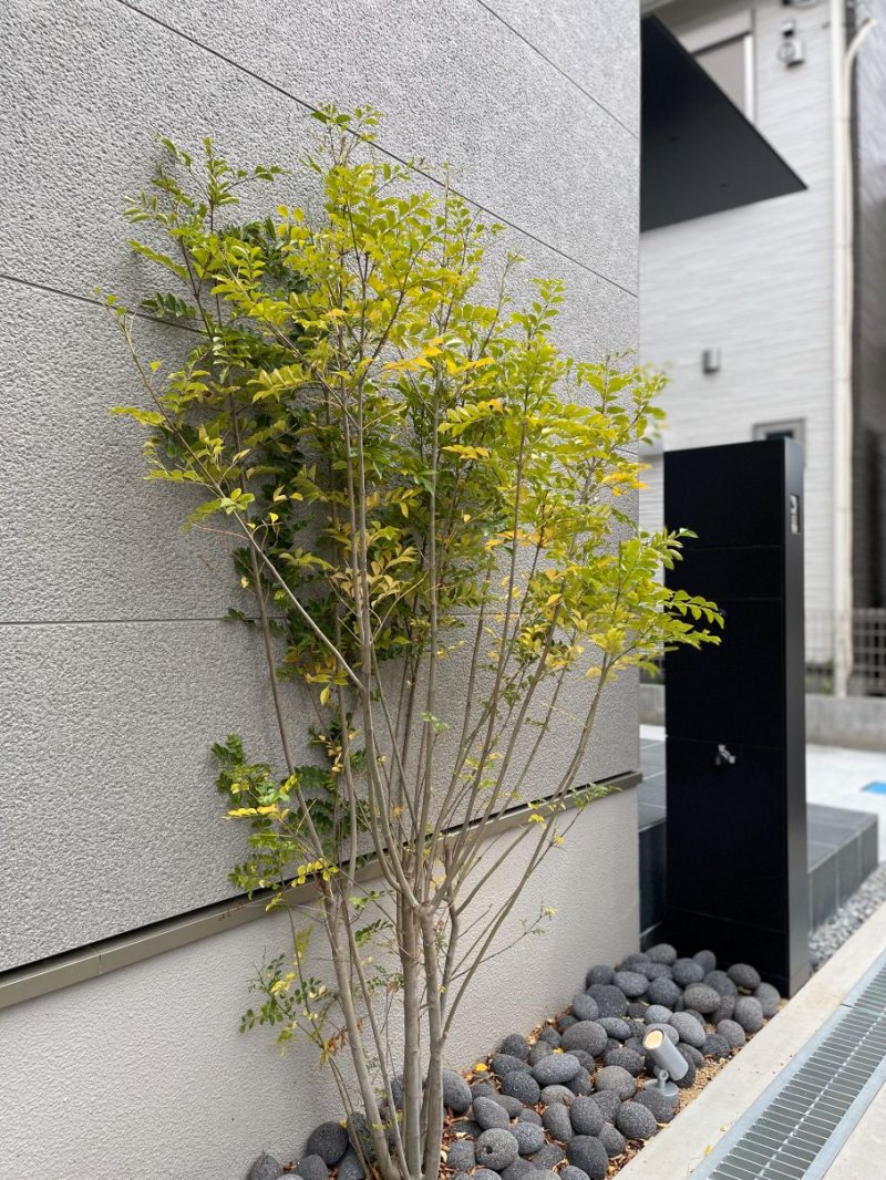 現地（2025年5月）撮影　