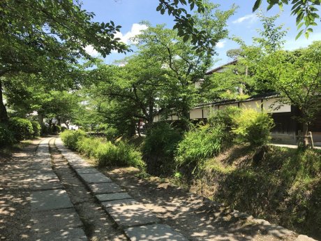 哲学の道　徒歩4分　290ｍ