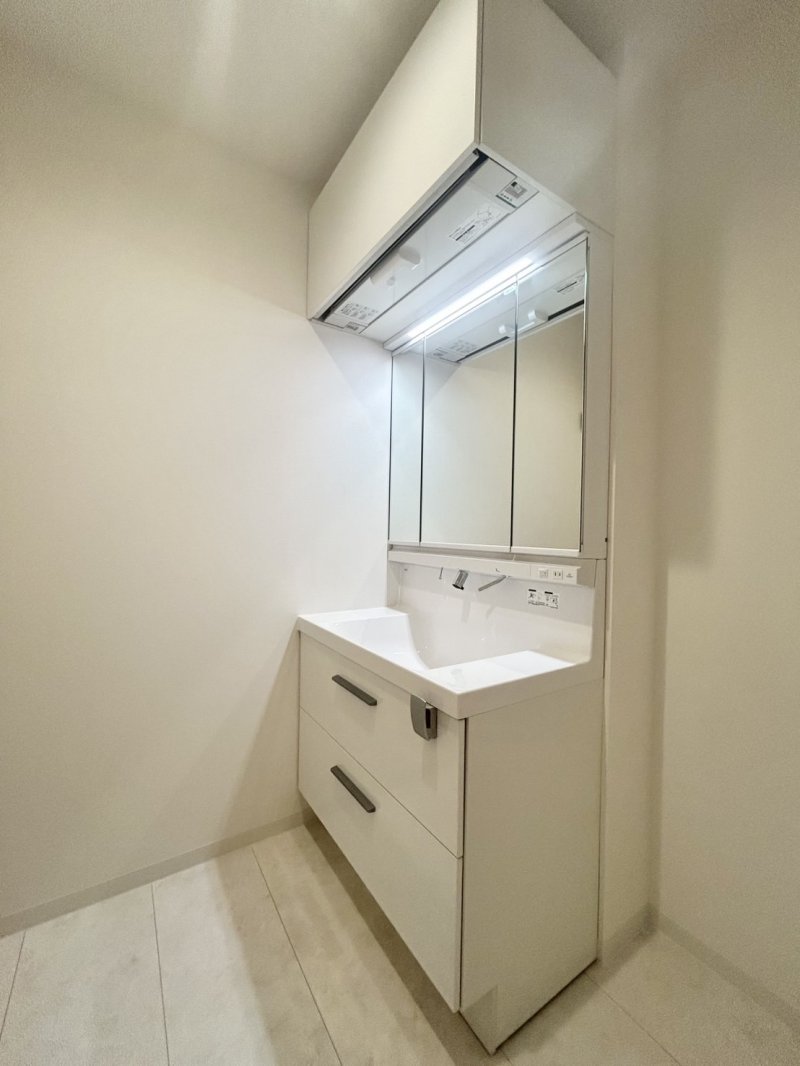 機能性に優れた三面鏡（長寿命・省電力のスリムLED付）と、豊富な収納キャビネットがついたスタイリッシュな洗面化粧台です。