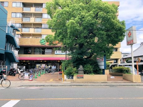 ライフ西陣店まで290m