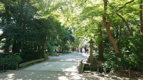 下鴨神社糺の森　徒歩8分