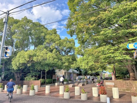 昆陽池公園まで350ｍ　徒歩5分