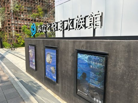 みなとやま水族館まで徒歩６分（480ｍ）