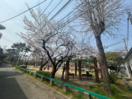 染の井公園まで130ｍ　徒歩2分