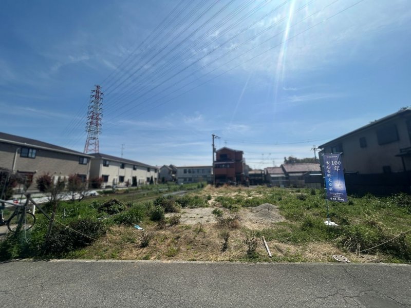 1号地　(2026年3月撮影)