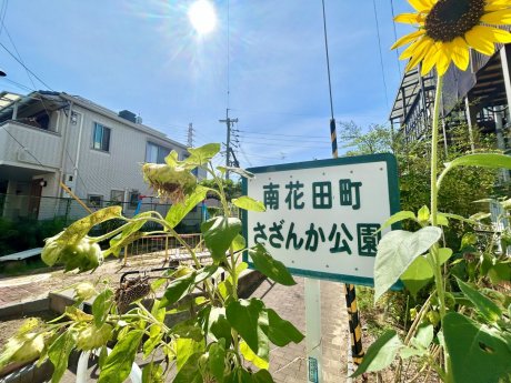 さざんか公園まで350m　徒歩5分
