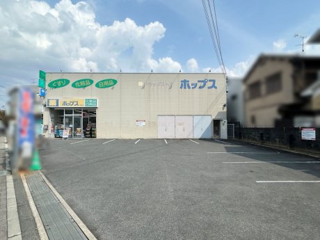 ドラッグストアホップス東向日店　徒歩4分(320ｍ)