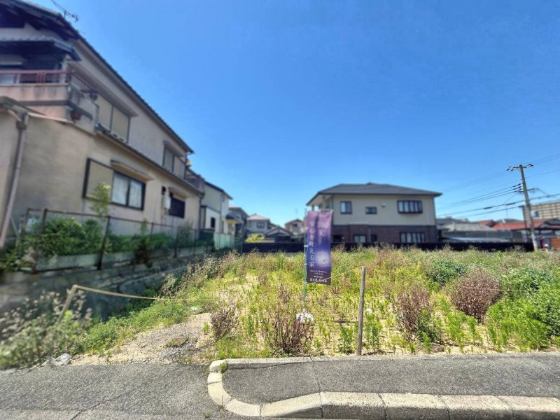 2026年5月撮影現地写真