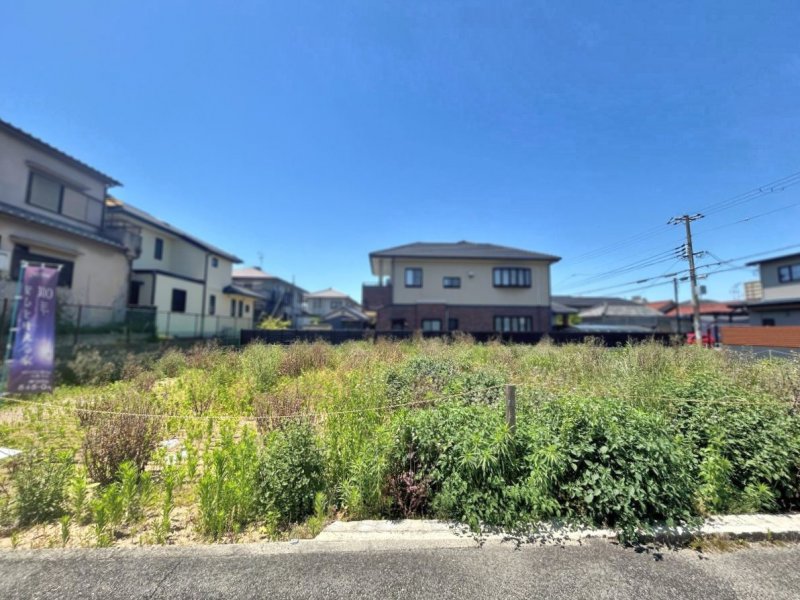 2026年5月撮影現地写真