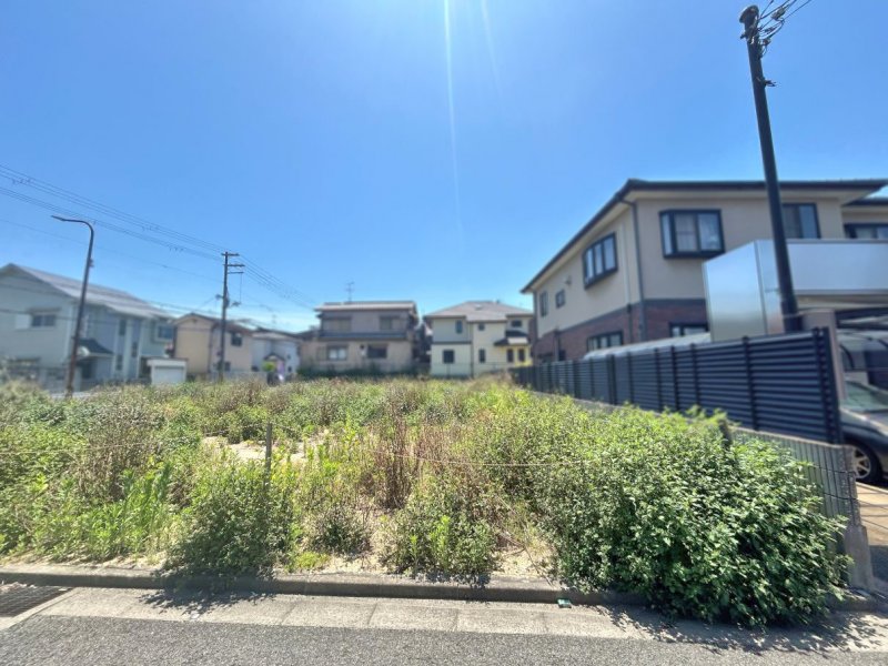 2026年5月撮影現地写真