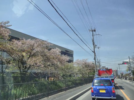 独立行政法人国立病院機構京都医療センターまで1080m