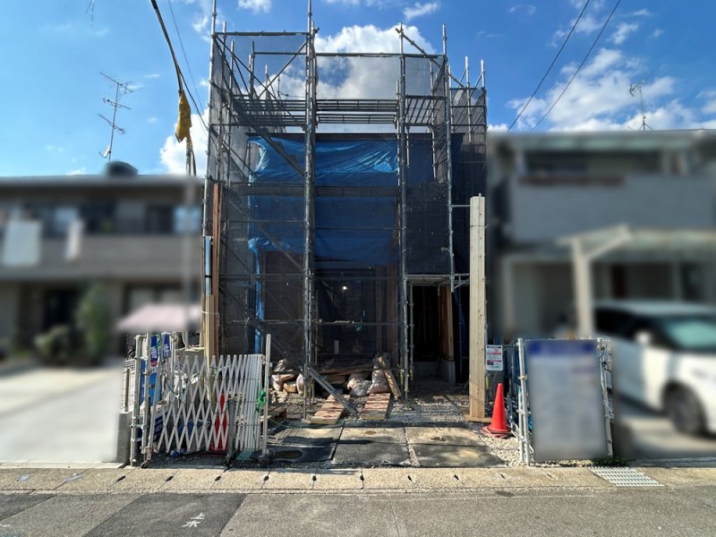 2026年7月撮影