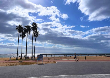 須磨海浜公園まで徒歩11分（880m）お家から海岸沿いのプロムナードを歩いて11分。休日のお散歩やサイクリングなど楽しめそう。