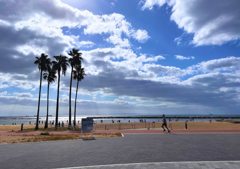 須磨海浜公園まで徒歩11分（880m）お家から海岸沿いのプロムナードを歩いて11分。休日のお散歩やサイクリングなど楽しめそう。