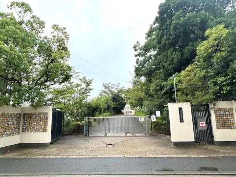 京都市立新林小学校　徒歩6分(480ｍ)