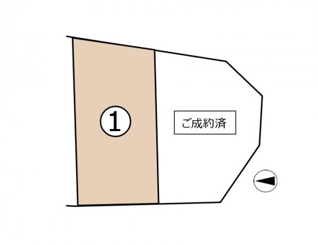 75988 7982 20261009 110102
