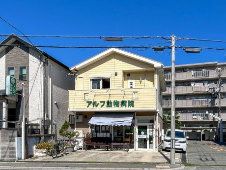 アルフ動物病院まで500ｍ　徒歩7分