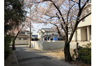 前道の様子（東側）桜の木が美しい東側の道の様子です。　（2021年4月撮影）