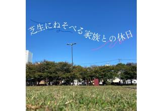 神戸ウィングスタジアム芝生広場まで徒歩4分(320m)お子様がのびのびと走り回れる芝生の広場です。 