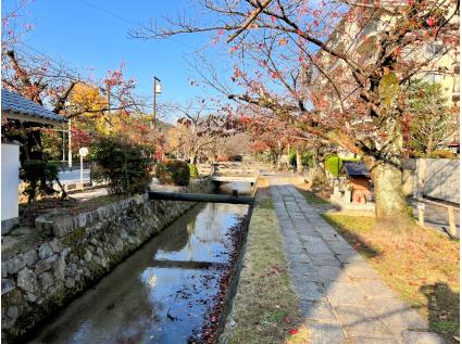 哲学の道　徒歩3分（240ｍ）銀閣寺と南禅寺を結ぶ日本屈指の散歩道「哲学の道」至近！桜の名所です。