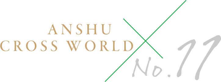ANSHU CROSS WORLD No.11
