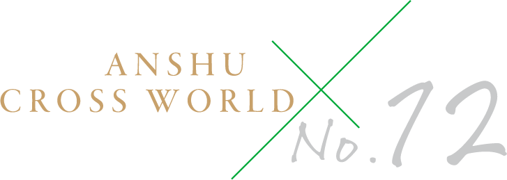 ANSHU CROSS WORLD No.12