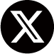 x-icon