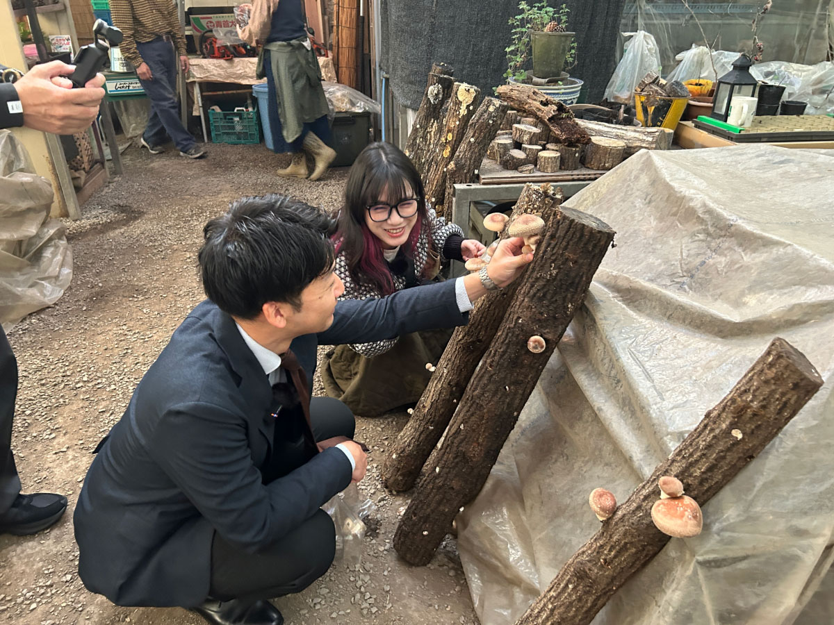 スーツ姿でしいたけ狩りをするよっしー