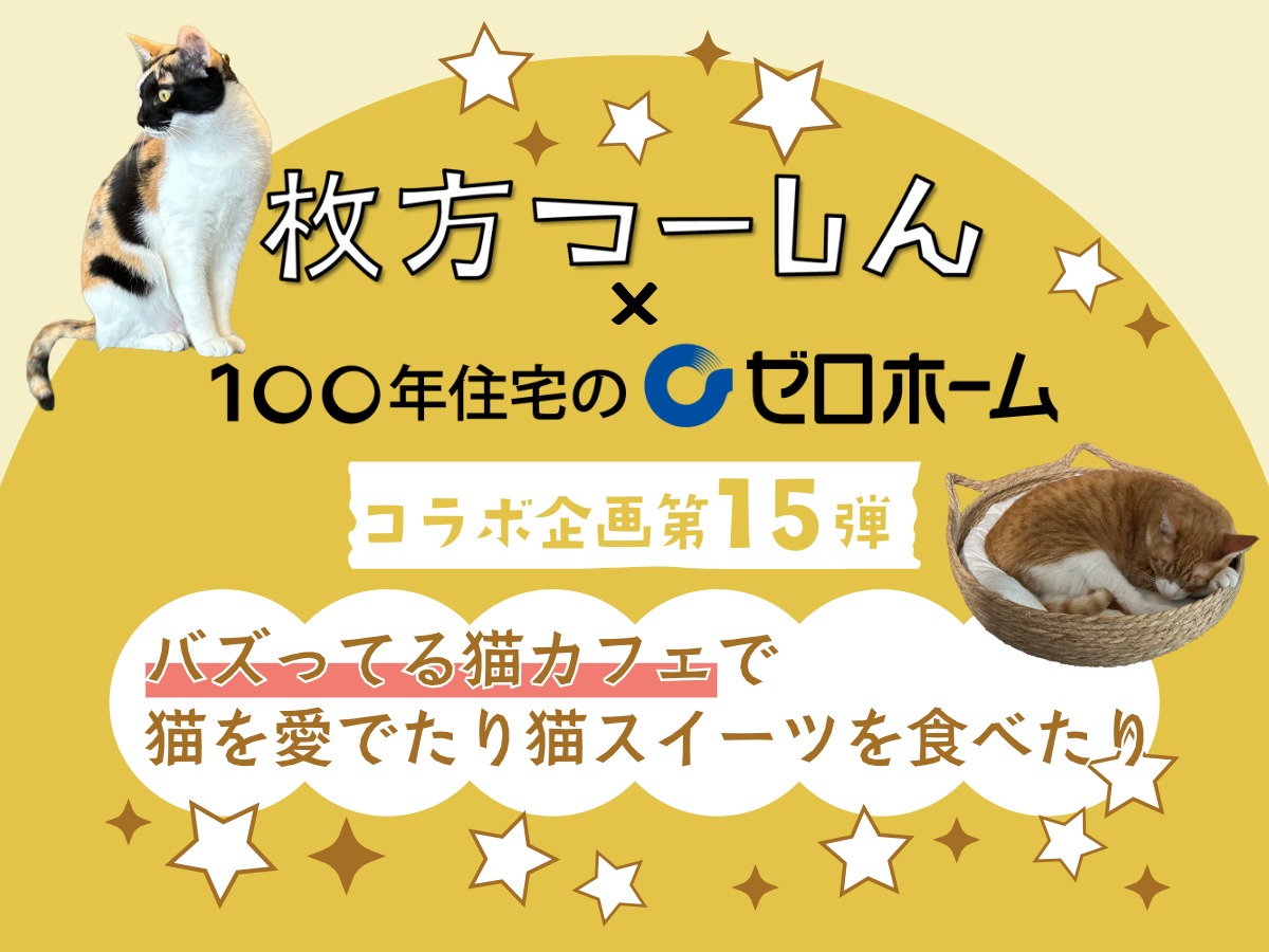 ひらつーコラボ第15弾 猫喫茶ネコブ