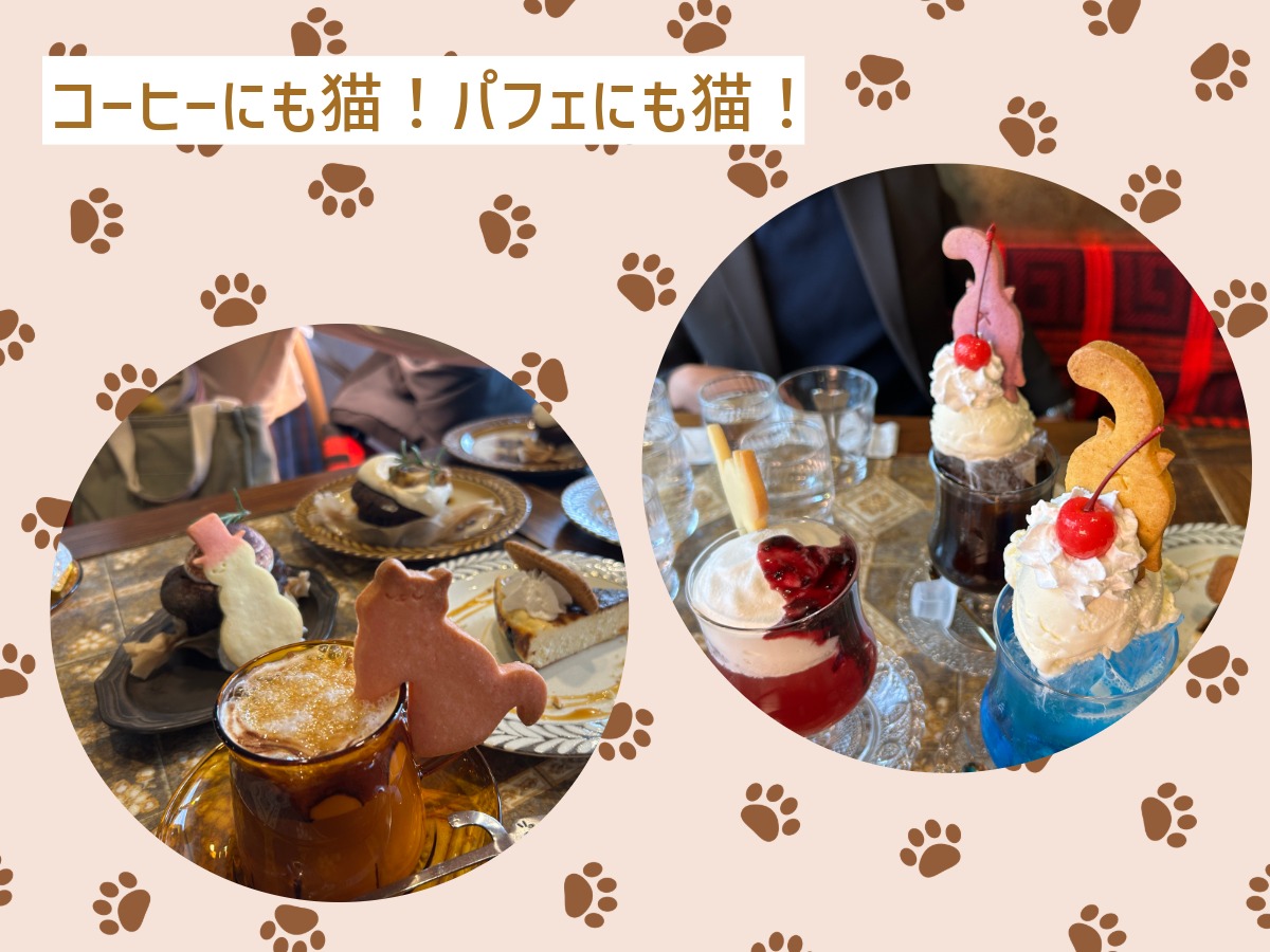 枚方の猫カフェ 猫喫茶ネコブのスイーツ