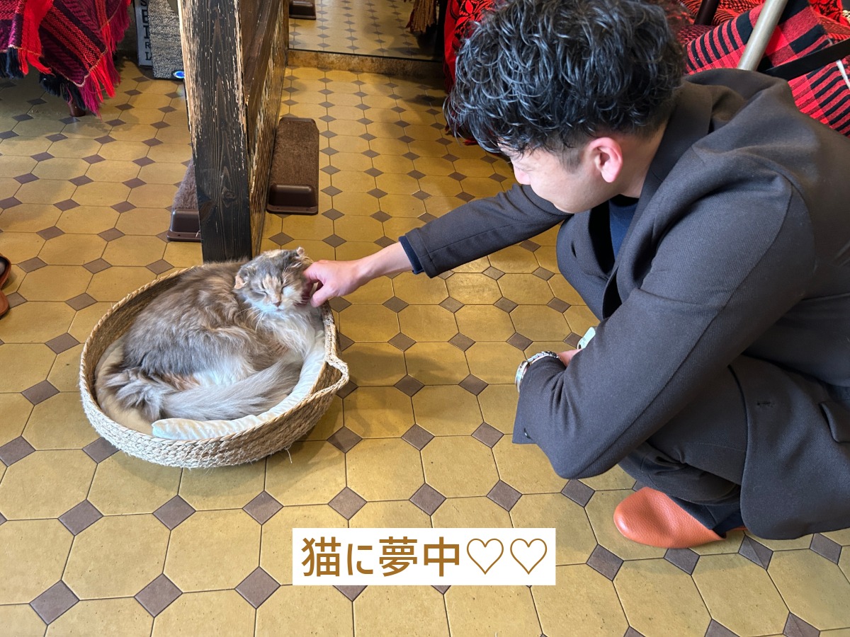 猫と触れ合うゼロホームスタッフよっしー