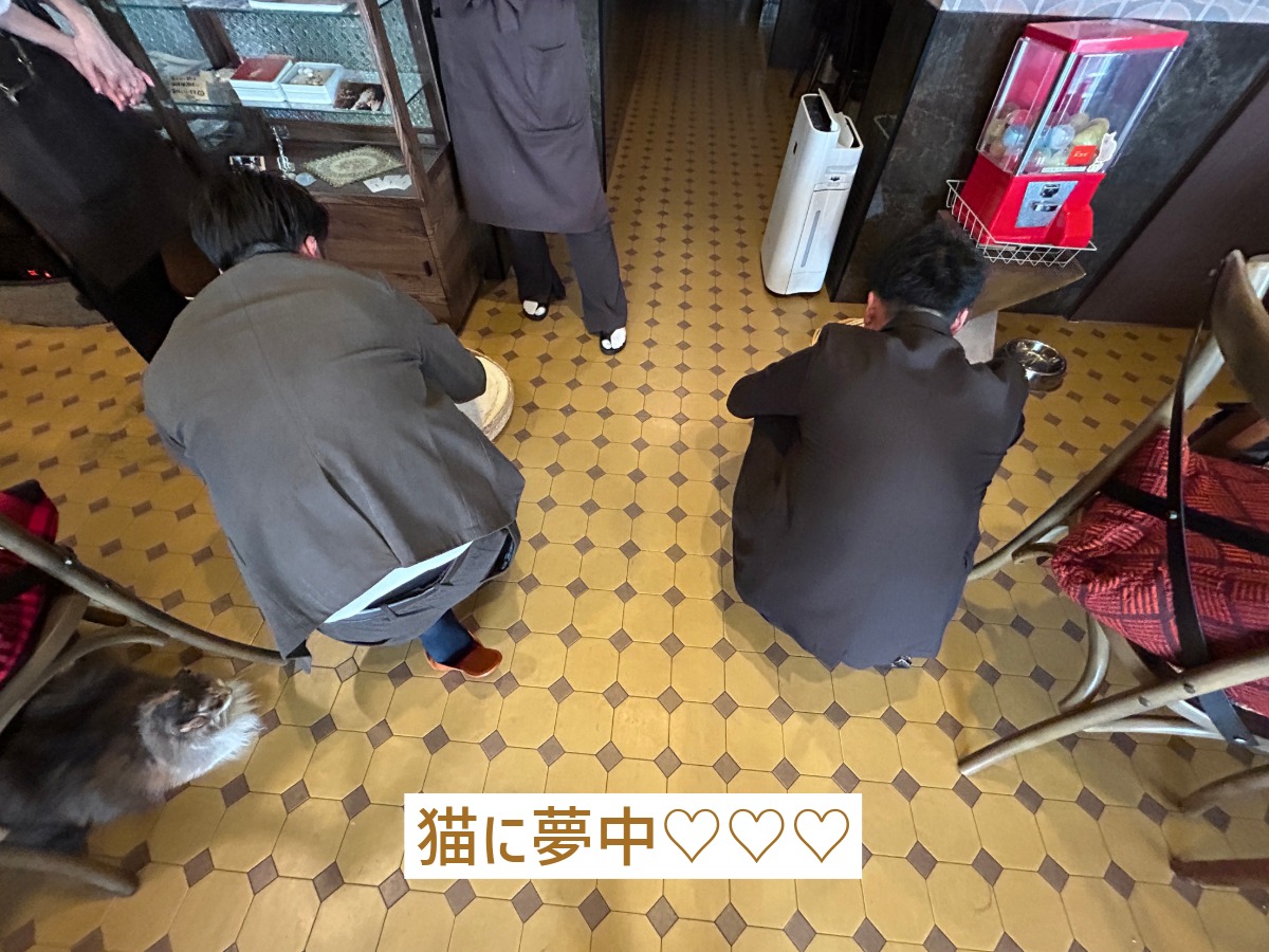 猫と触れ合うゼロホームスタッフの2人