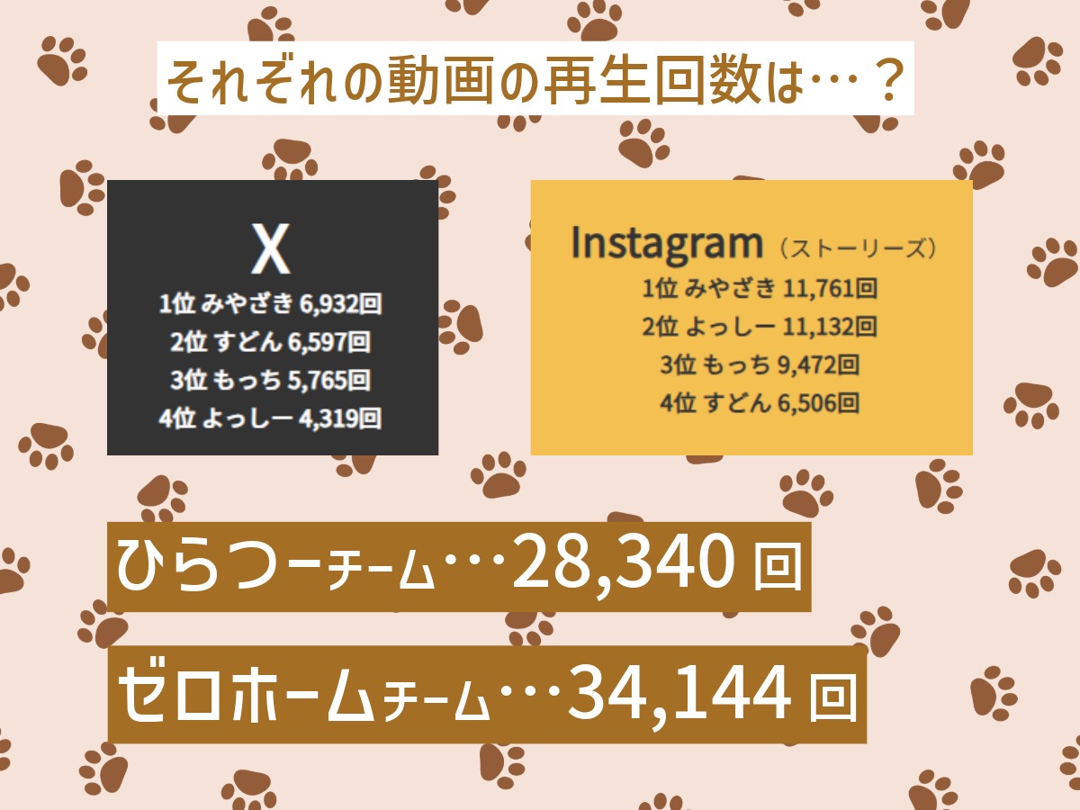 XとInstagramでの再生回数