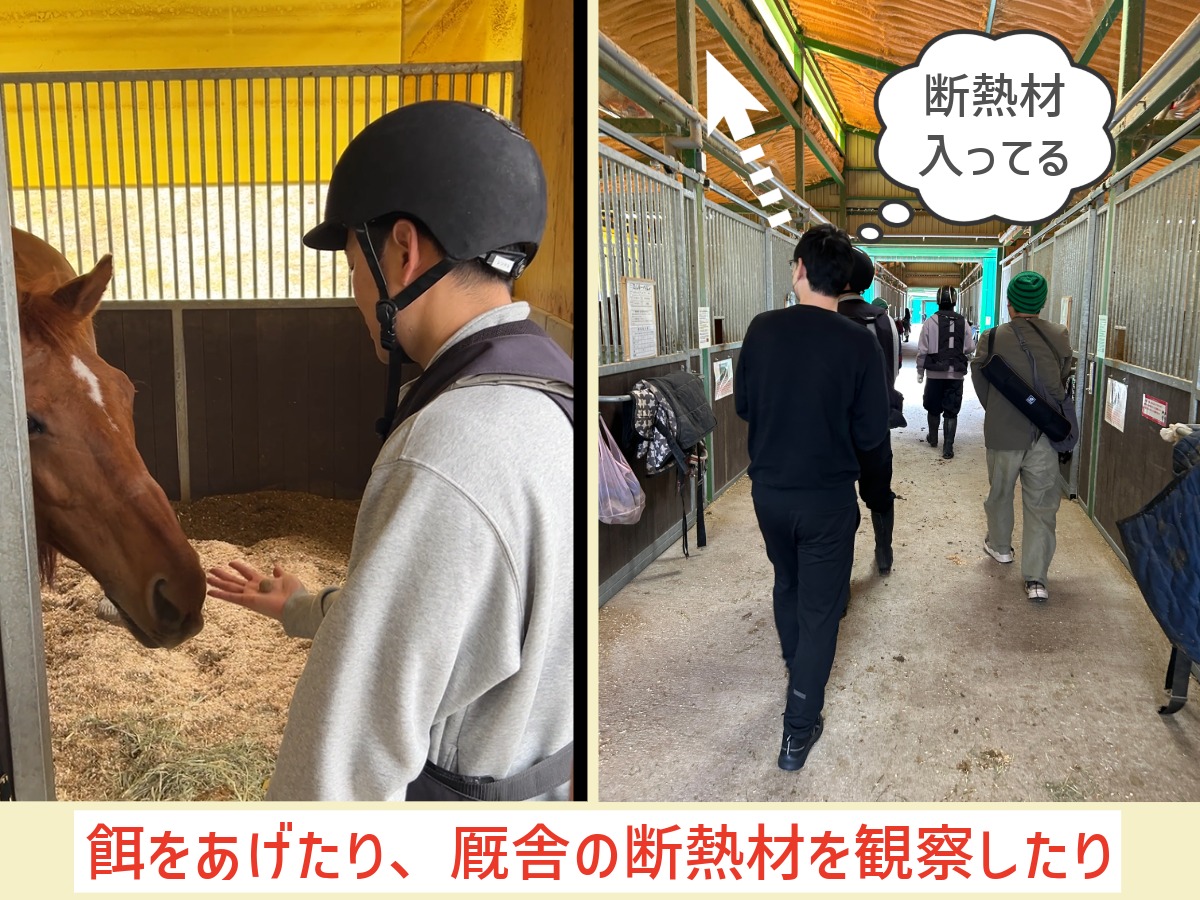 お馬さんに餌をあげるゼロホームみやざきと、厩舎の断熱材を観察しながら通路を歩くゼロホームにし