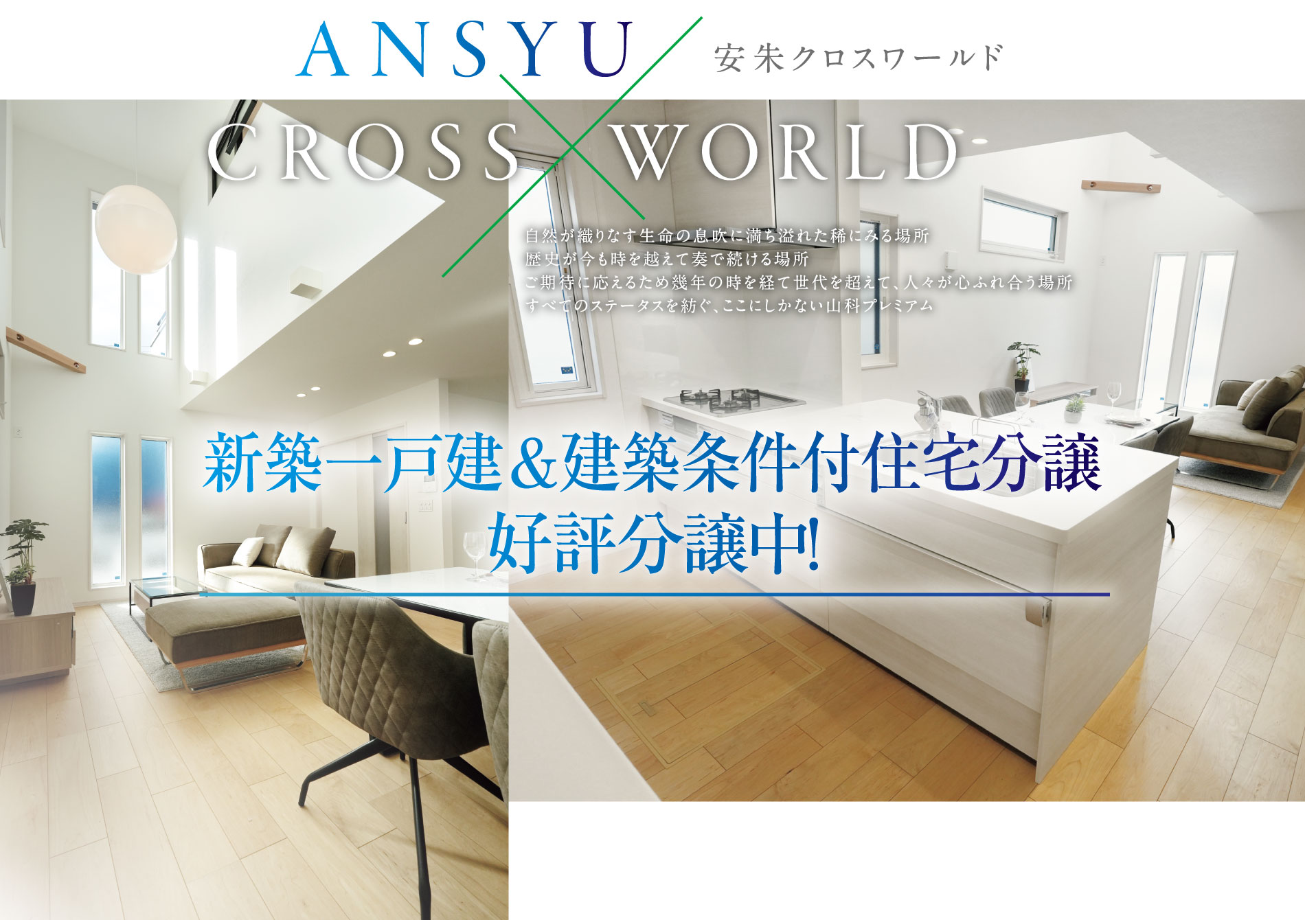 安朱クロスワールド ANSYU CROSS × WORLD