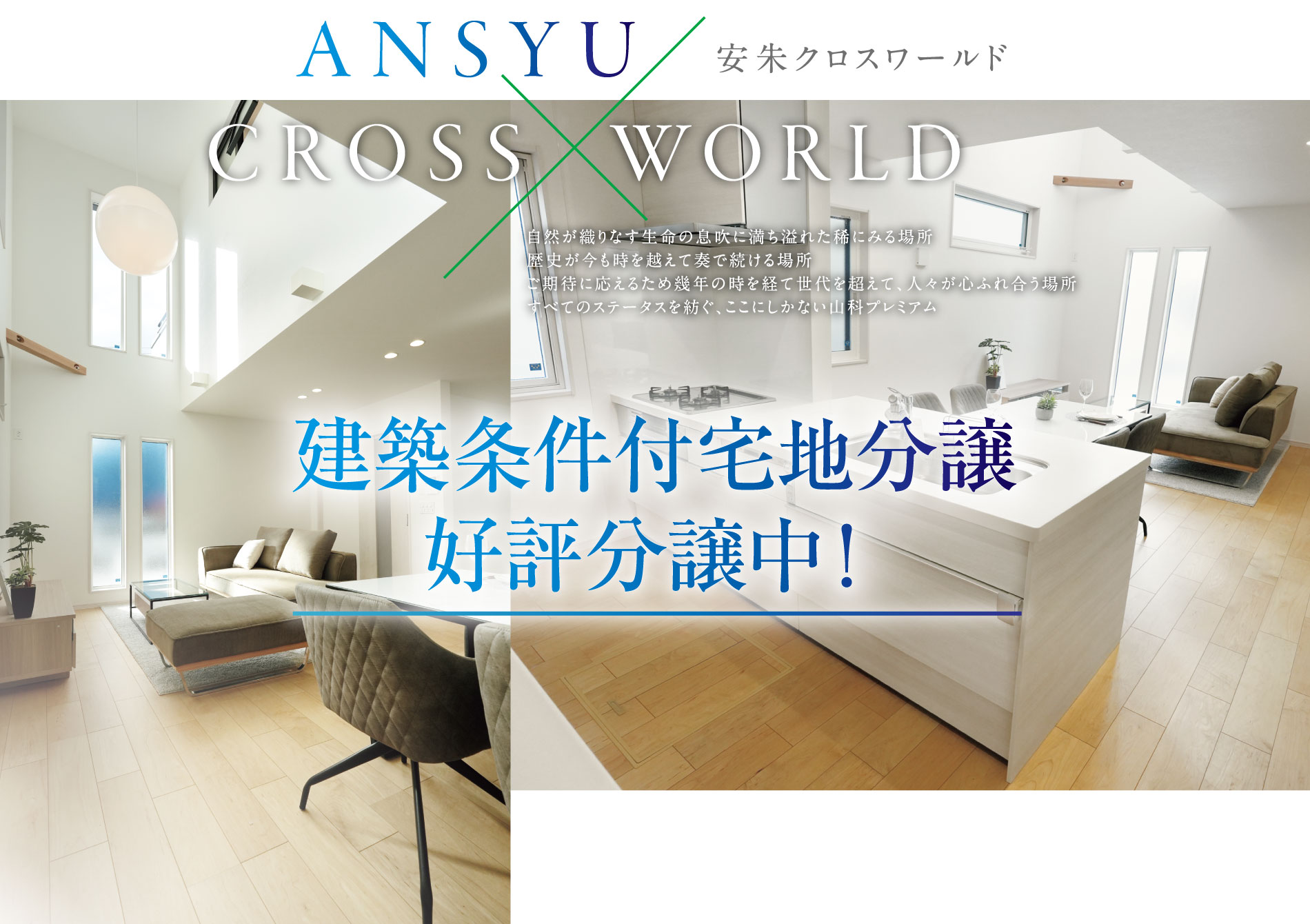 安朱クロスワールド ANSYU CROSS × WORLD