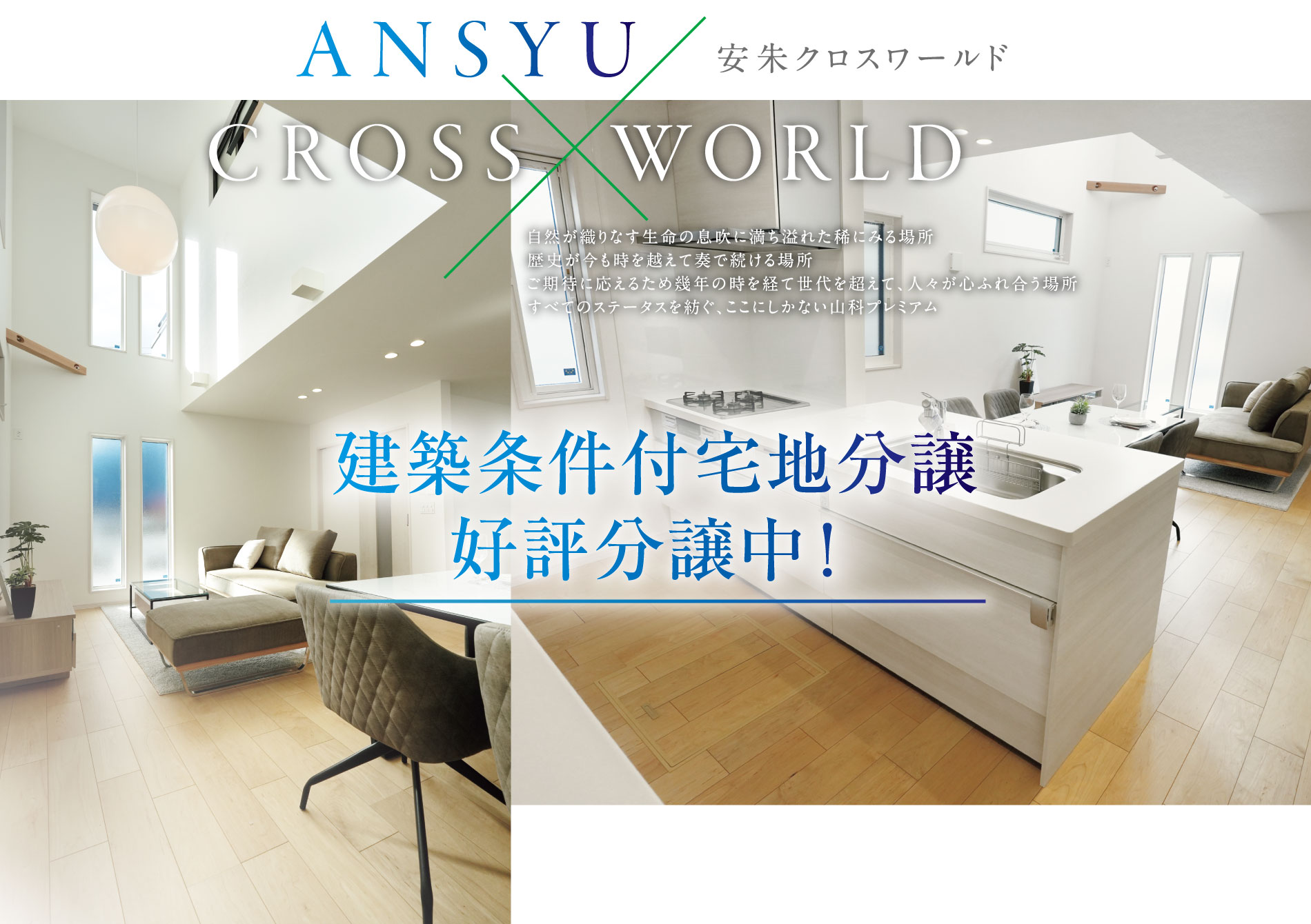 安朱クロスワールド ANSYU CROSS × WORLD