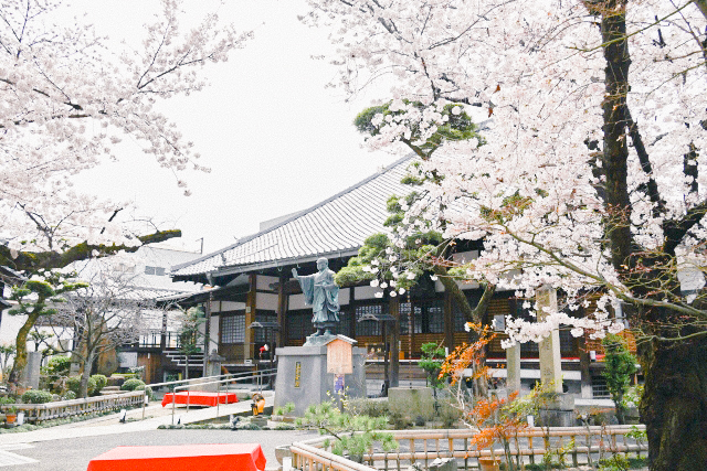 伏見住吉小学校