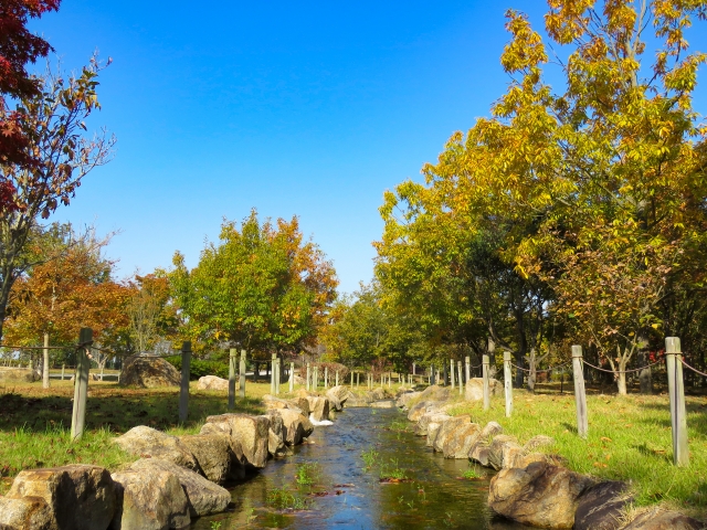 向島秀蓮小中学校