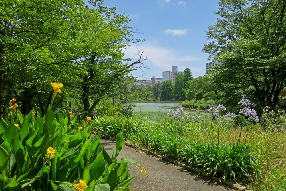 吹田市で建売住宅を探すなら!子育てしやすいエリアと購入のポイント