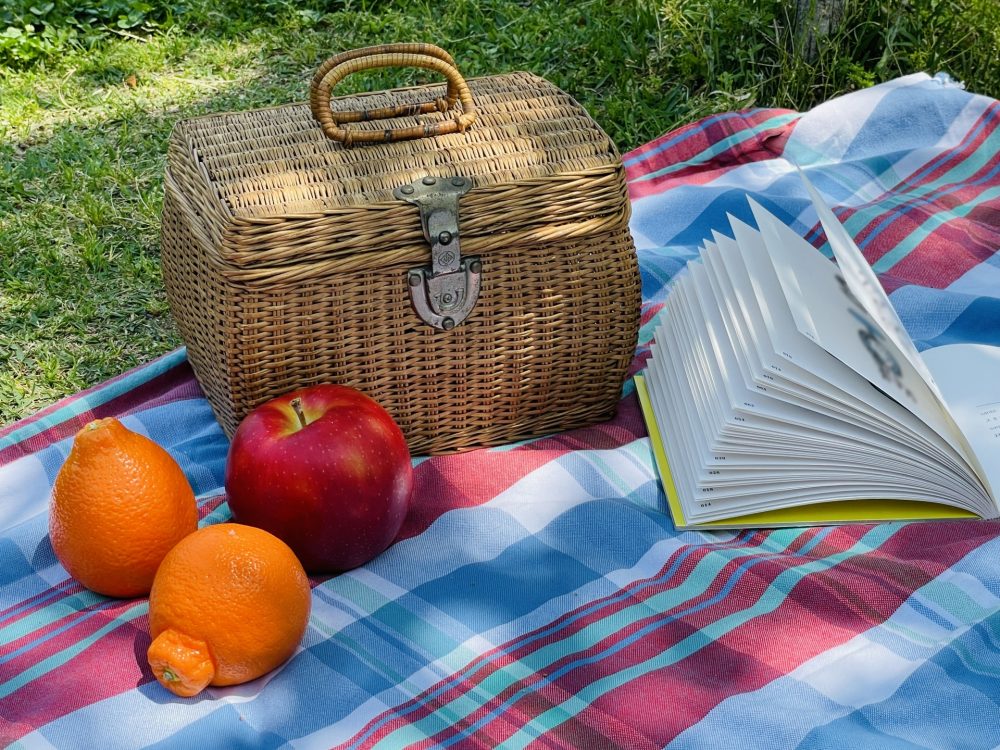 週末は家族でピクニック！京都の自然を満喫できる建売住宅のススメ