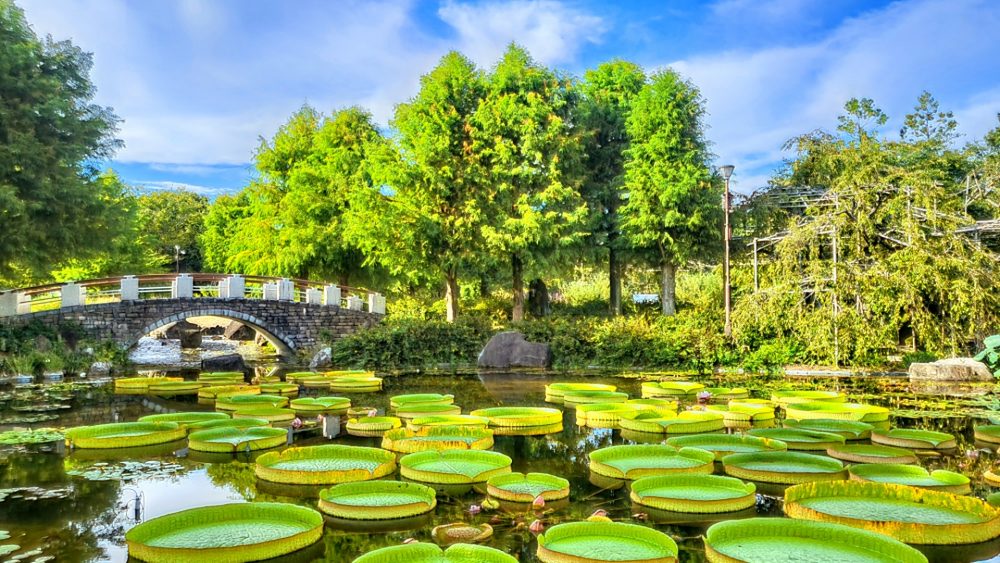 草津住宅展示場は子連れに優しい！家族みんなで楽しむ見学のコツ