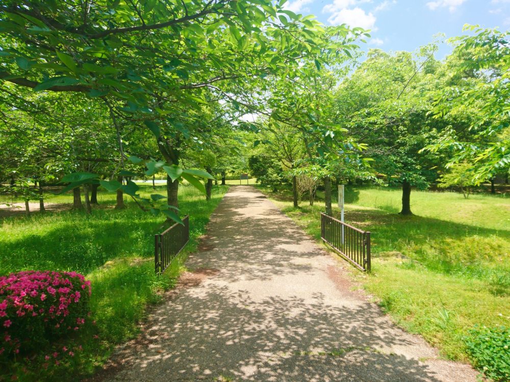 草津市で子育て！自然の中で子どもを育む、ファミリー移住のススメ