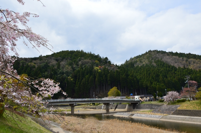 京都京北小中学校