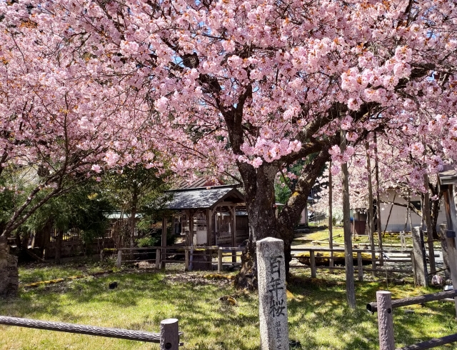 京都京北小中学校