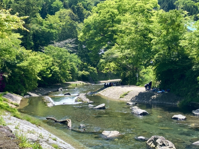 大原小中学校